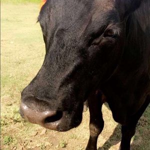 Meet your Posher, Ashlyn